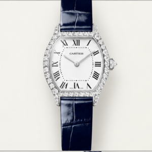 cartier coussin diamanti quadrante argento cinturino blu