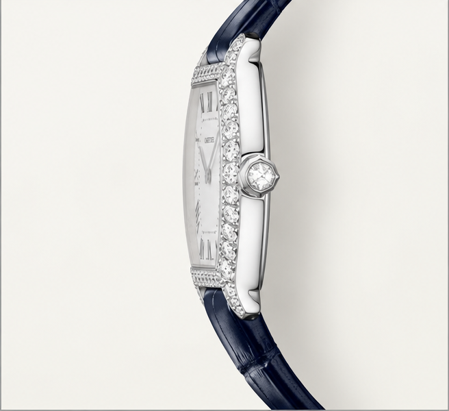 cartier coussin diamanti quadrante argento cinturino blu
